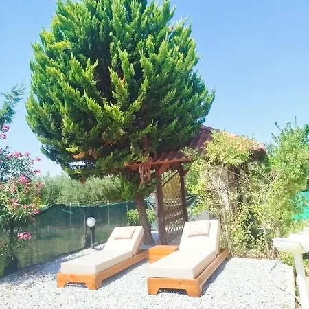 Chrissa's Place - A Unique House With Garden And Bbq بيت للعطل *